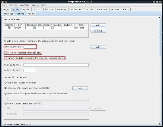 Burp Suite proxy options